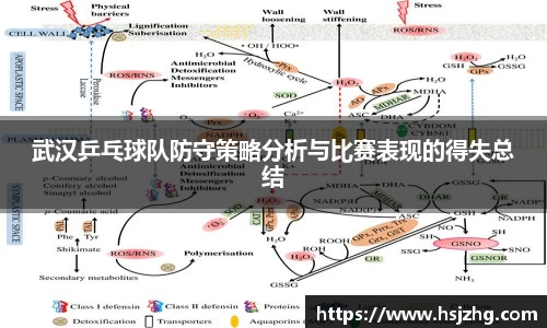 武汉乒乓球队防守策略分析与比赛表现的得失总结